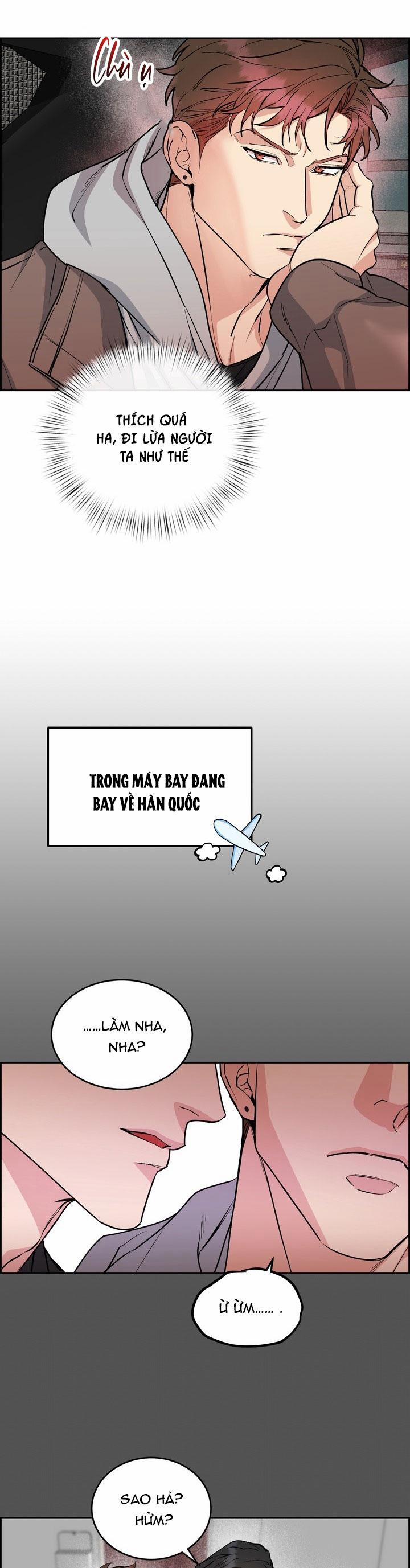 Chó Và Chim 40 trang 21