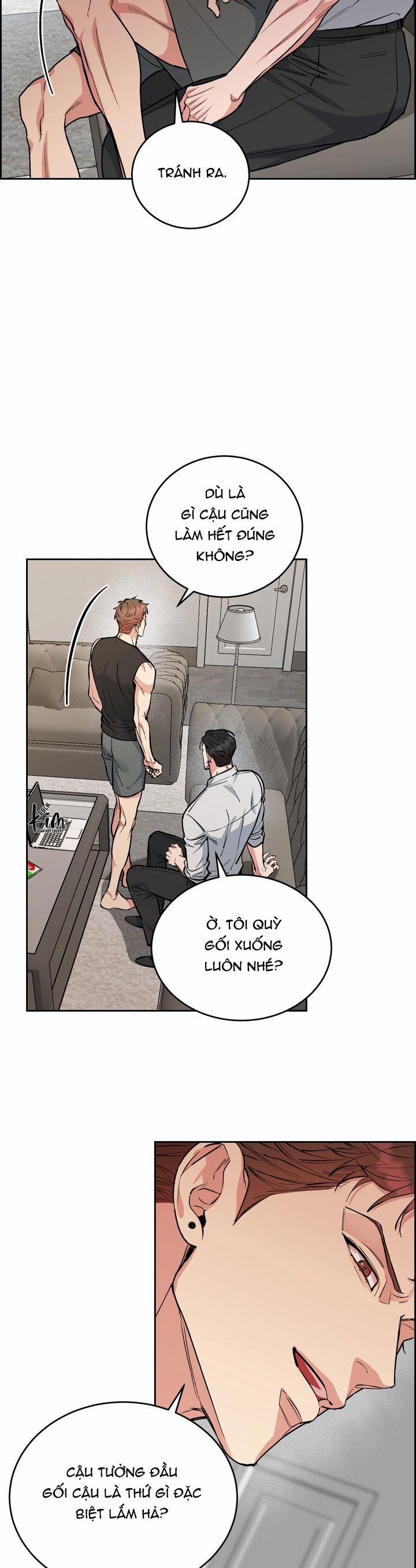 Chó Và Chim 40 trang 7