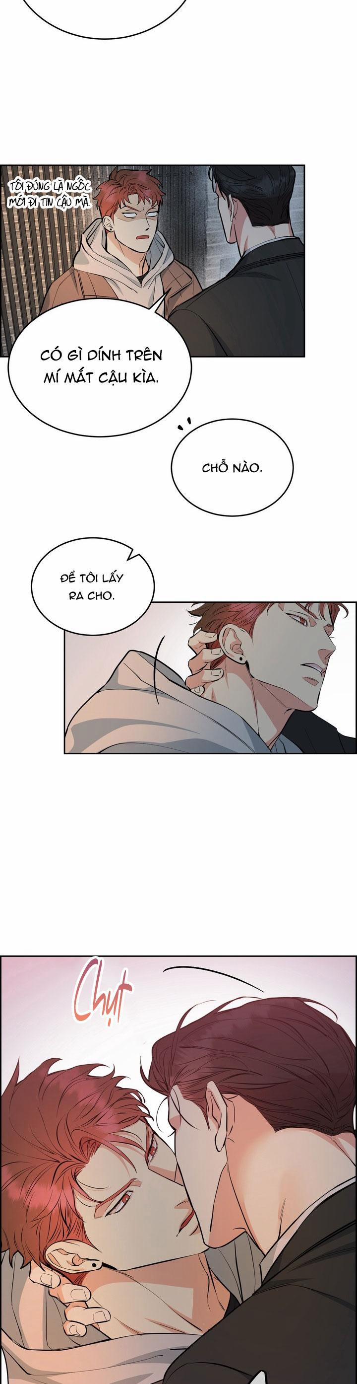 Chó Và Chim 41 trang 28