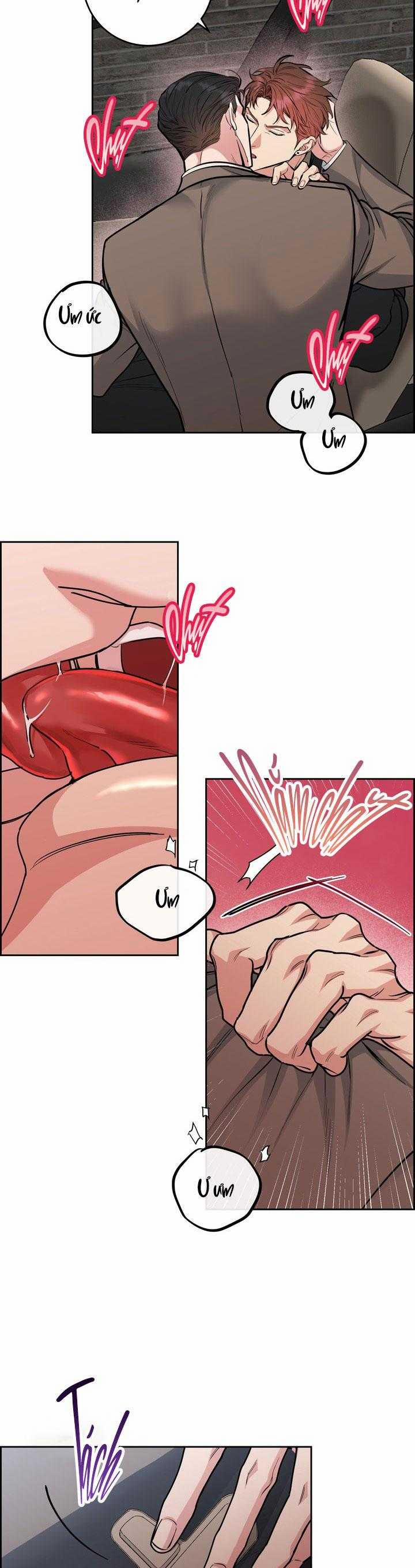 Chó Và Chim 43 trang 13