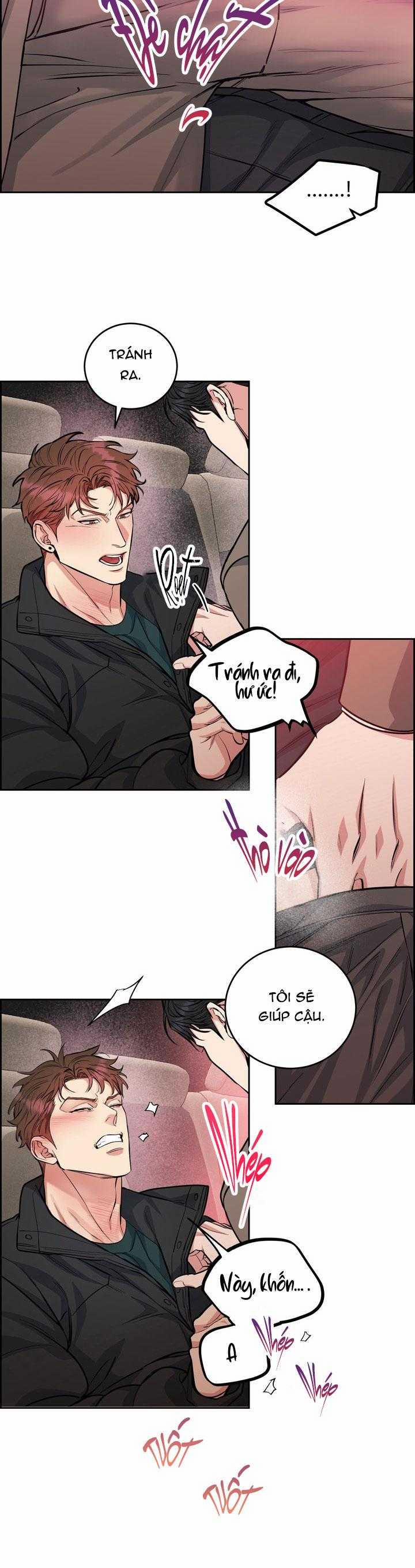 Chó Và Chim 43 trang 15