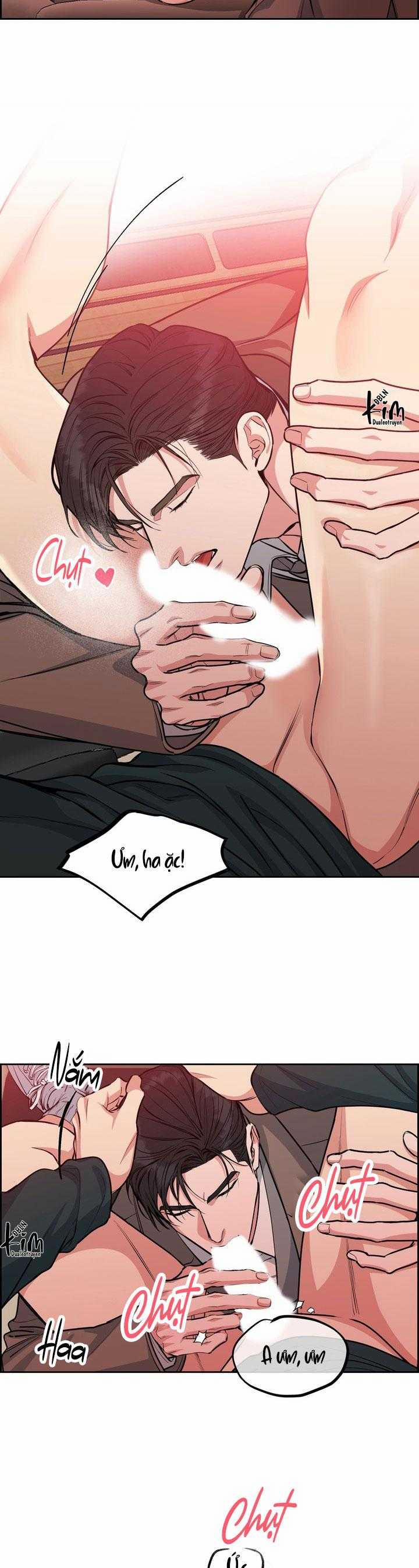 Chó Và Chim 43 trang 19