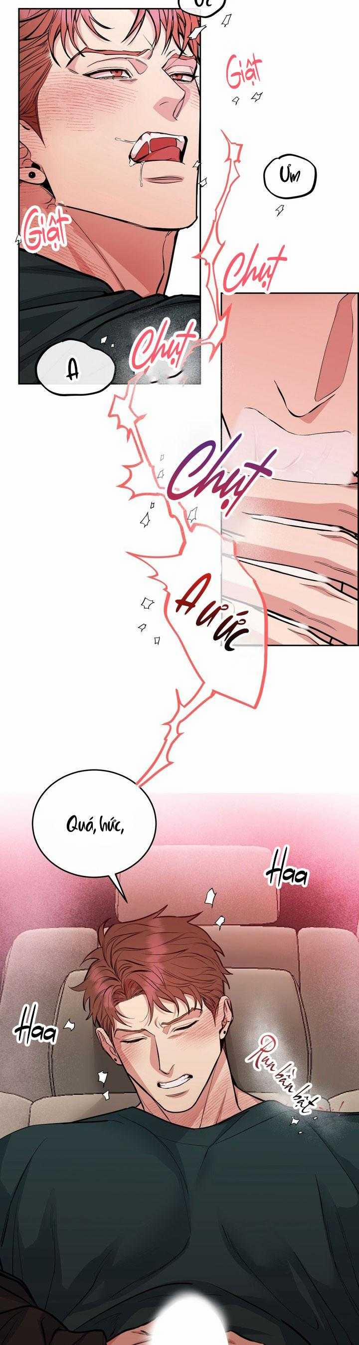 Chó Và Chim 43 trang 20