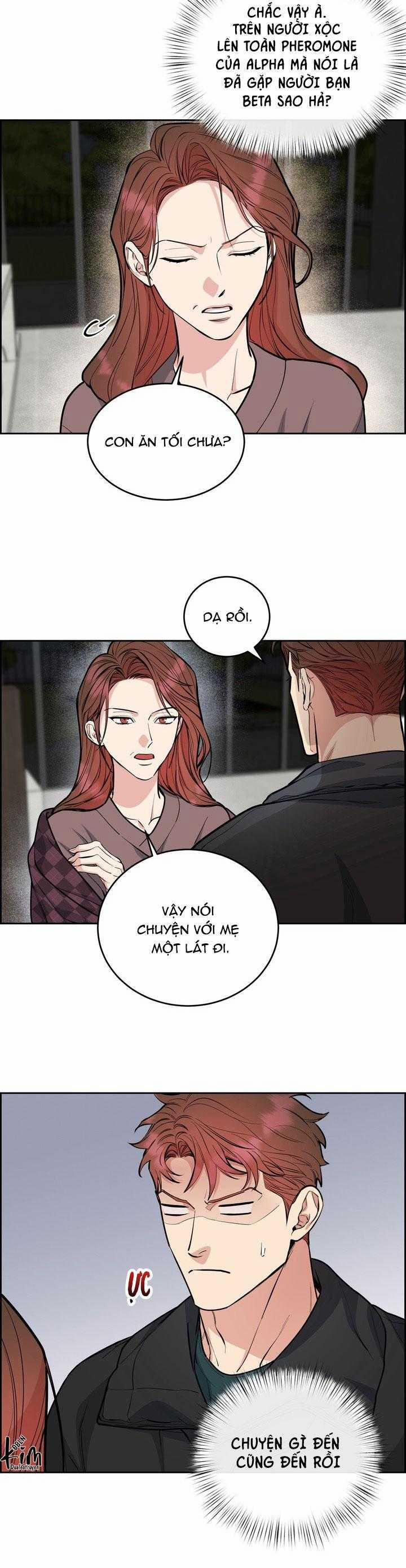 Chó Và Chim 44 trang 16