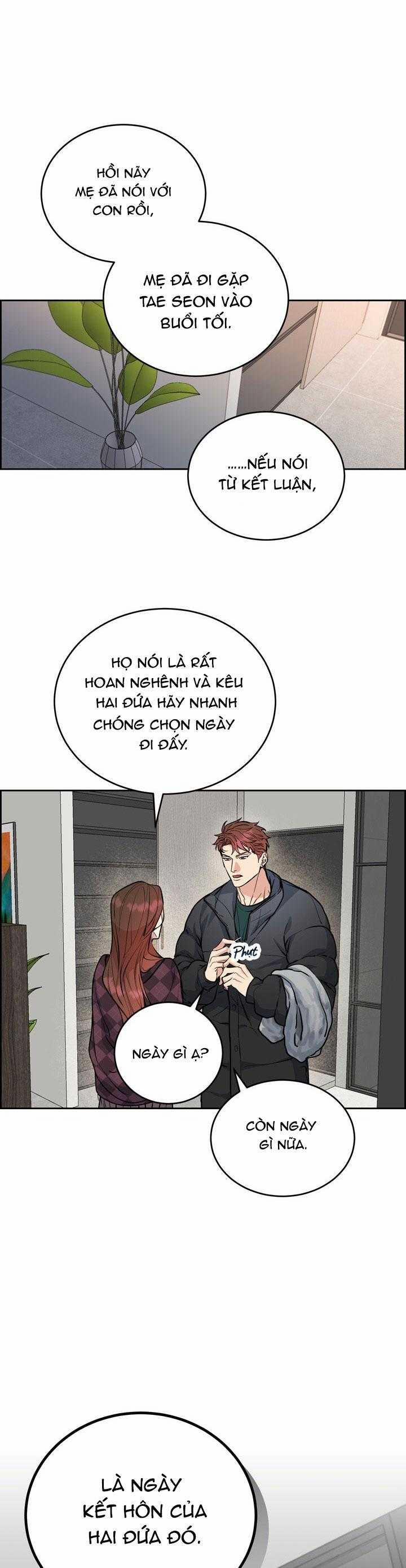 Chó Và Chim 44 trang 17