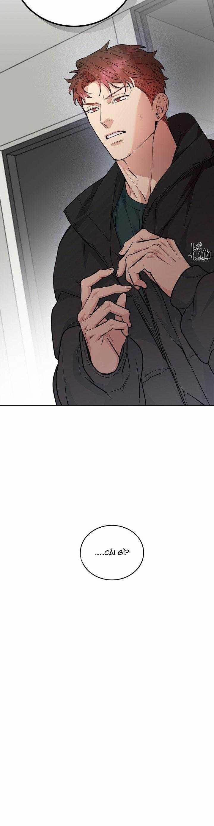 Chó Và Chim 44 trang 18