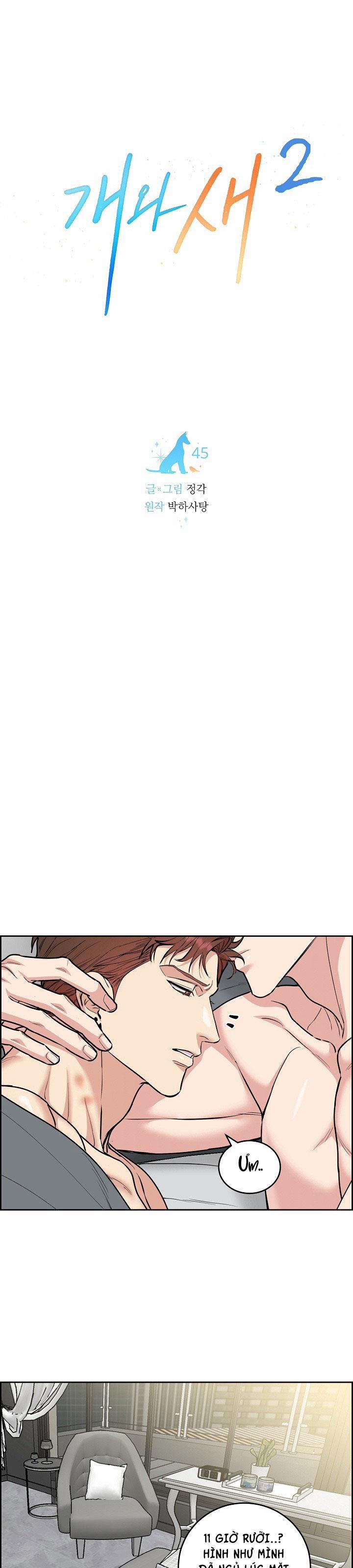 Chó Và Chim 45 END trang 12