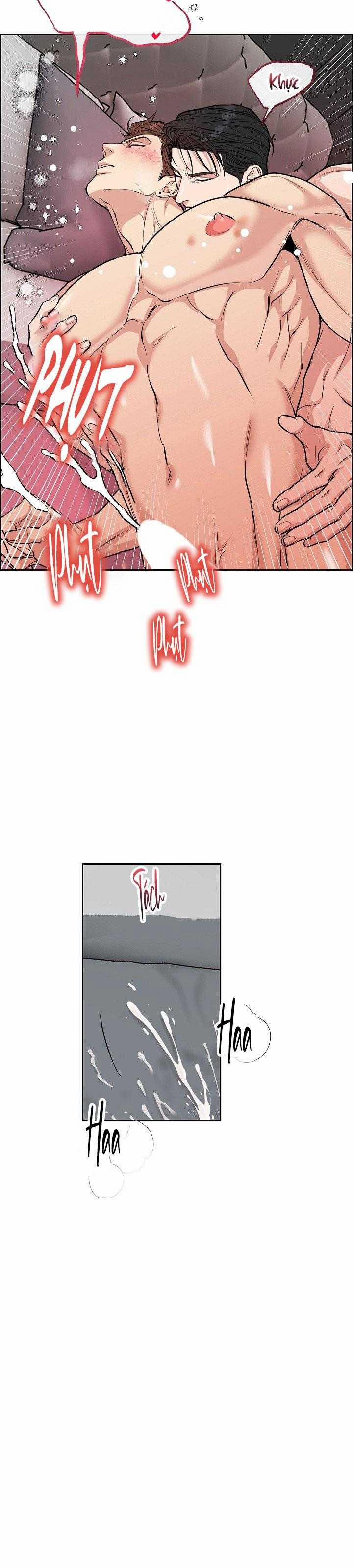 Chó Và Chim 45 trang 11