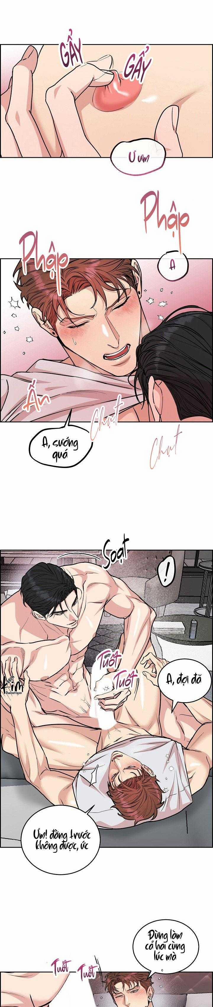 Chó Và Chim 45 trang 5