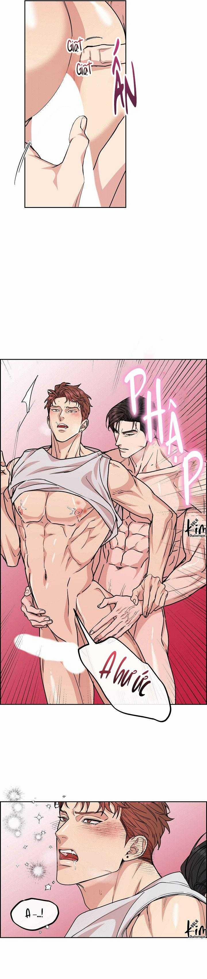 Chó Và Chim 45 trang 7