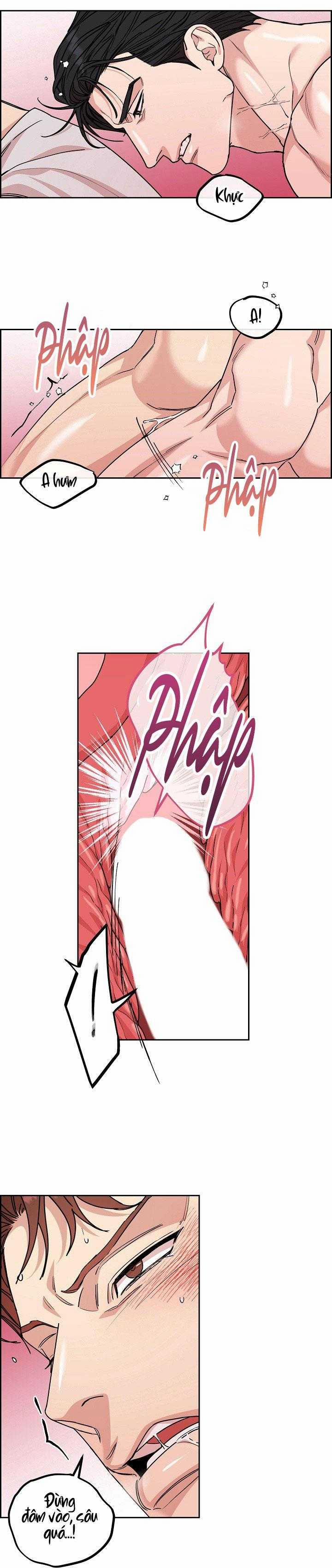 Chó Và Chim 45 trang 8