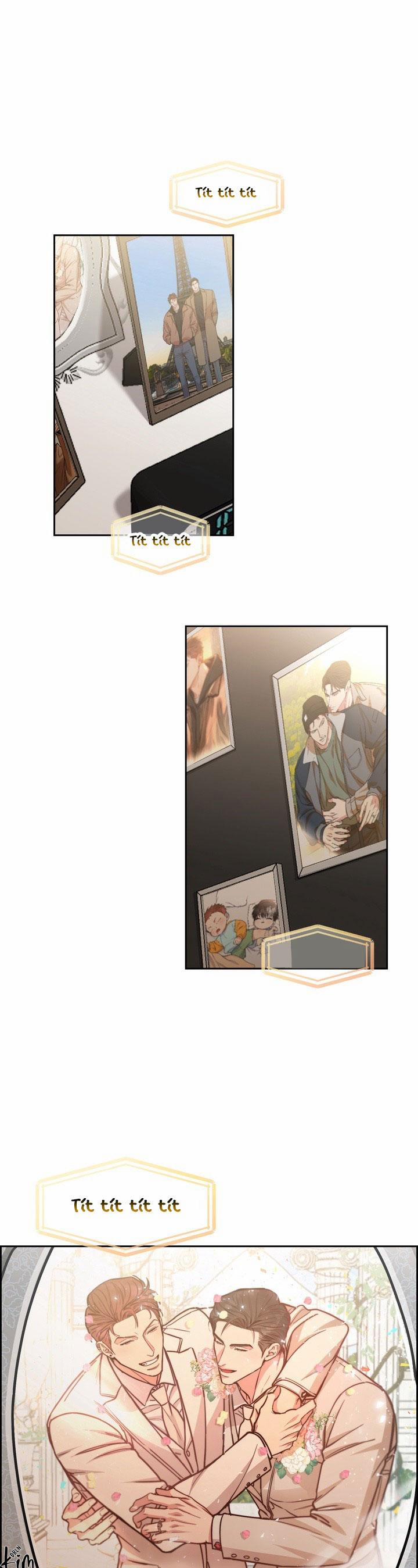 Chó Và Chim 46 nt1 trang 0