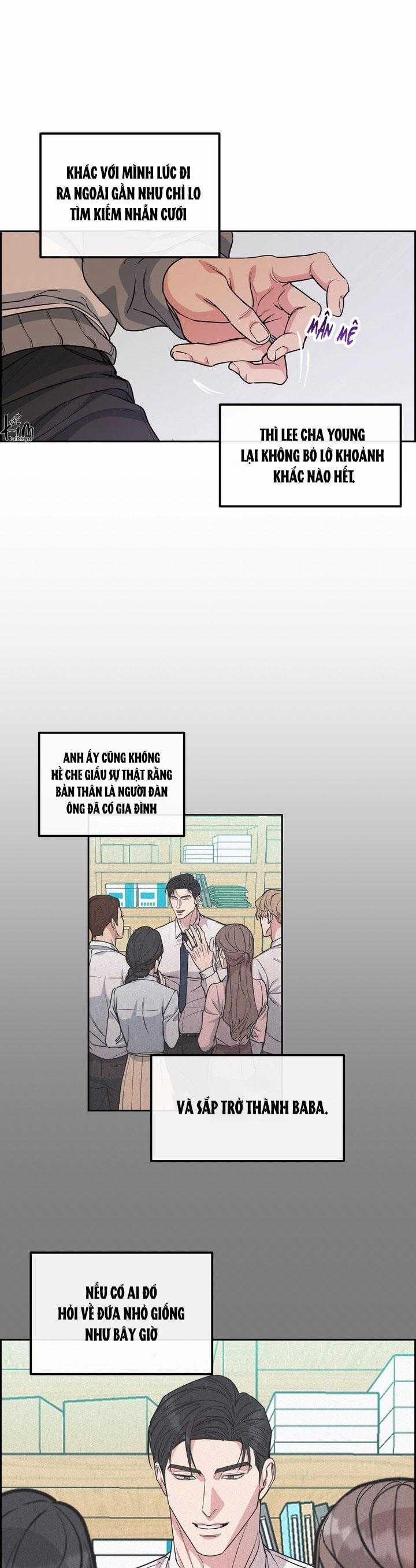 Chó Và Chim 46 trang 15