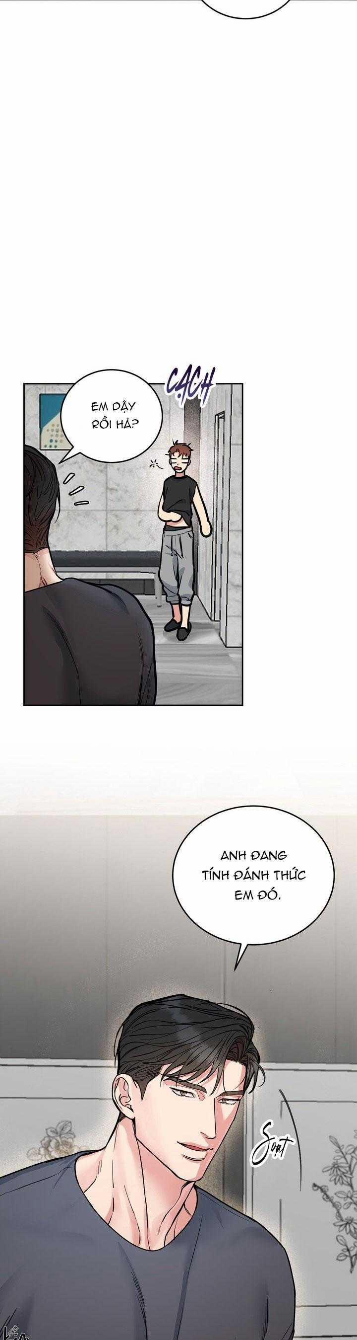 Chó Và Chim 46 trang 2