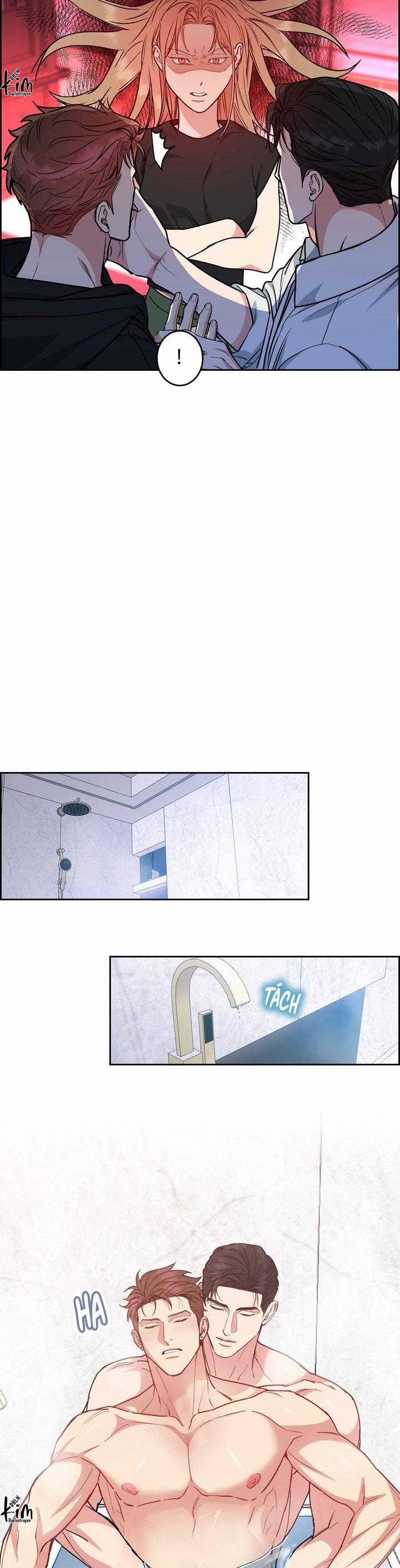 Chó Và Chim 50 trang 13