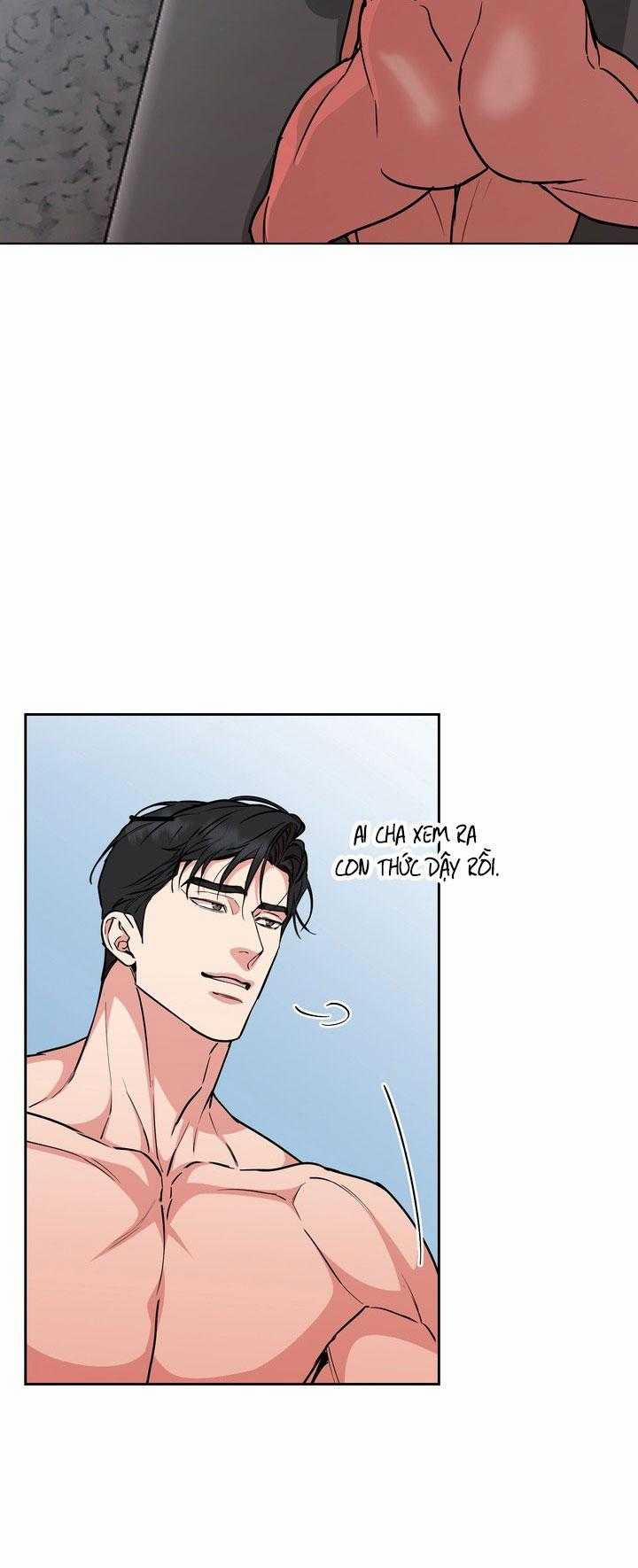 Chó Và Chim 52 trang 17