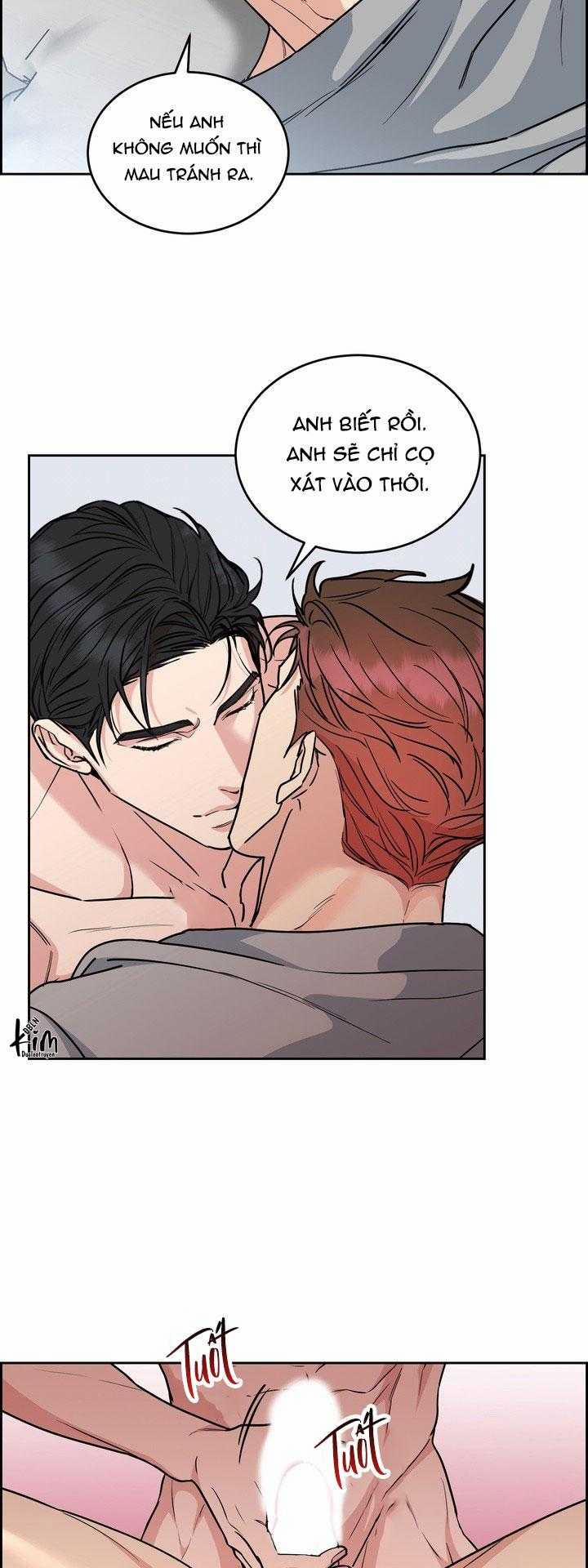 Chó Và Chim 52 trang 4