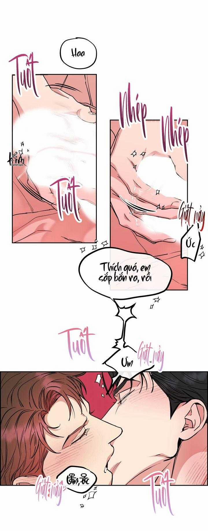 Chó Và Chim 52 trang 7