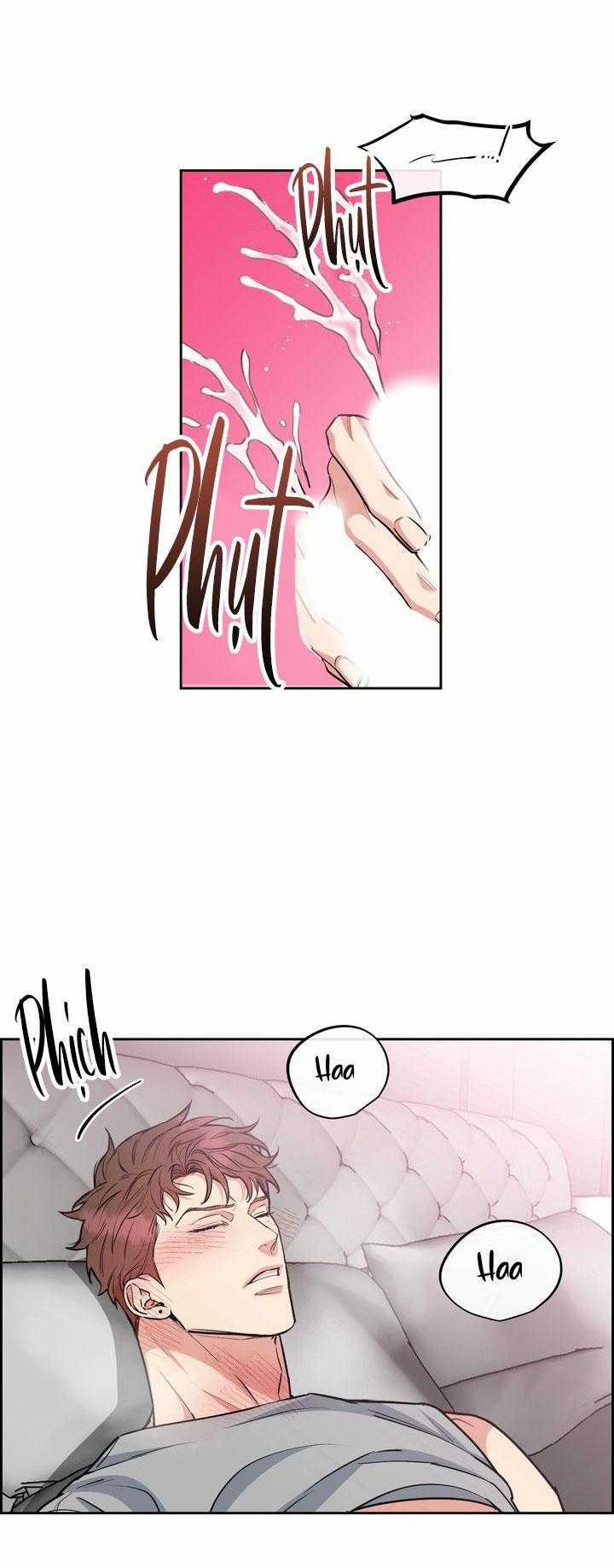 Chó Và Chim 52 trang 8