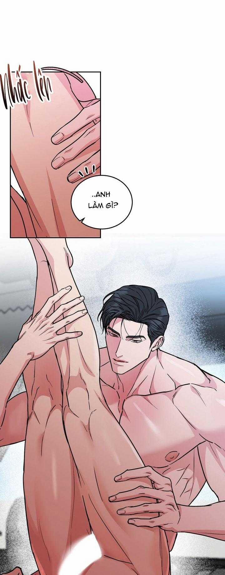 Chó Và Chim 52 trang 9