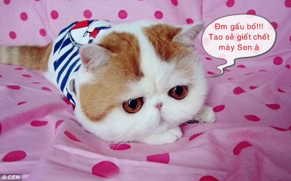 Chocolat The Cat Oneshot trang 4