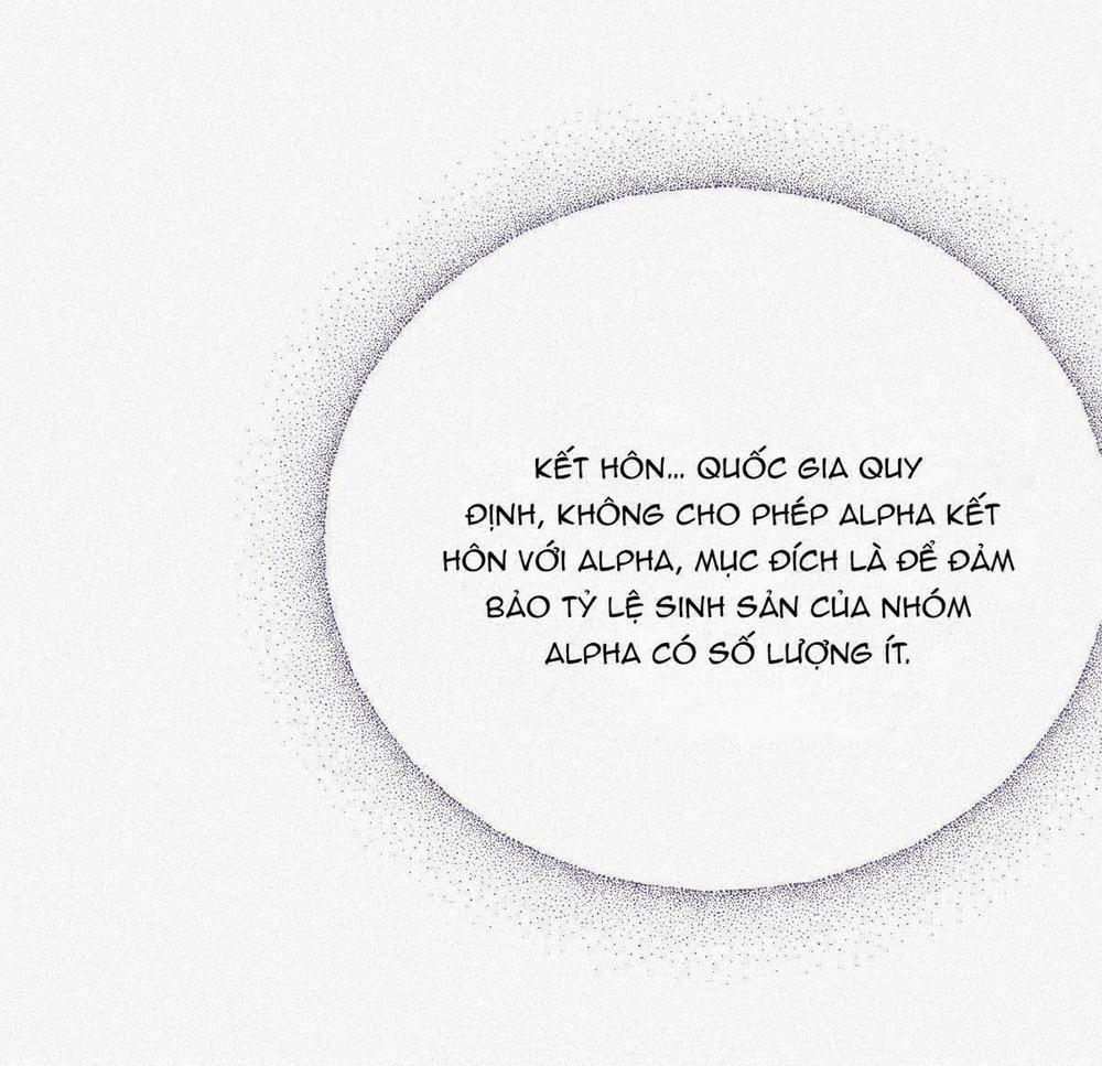 Chồng Cũ Muốn Tái Hôn Lần Nữa 2 trang 10