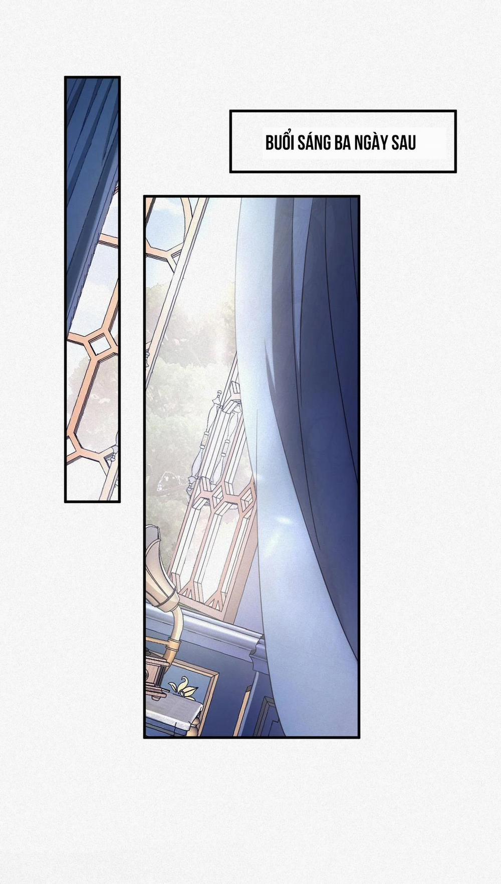 Chồng Cũ Muốn Tái Hôn Lần Nữa 3 trang 11