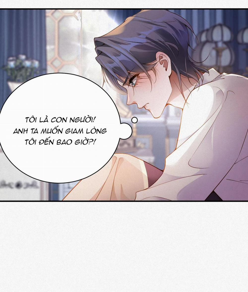 Chồng Cũ Muốn Tái Hôn Lần Nữa 3 trang 19