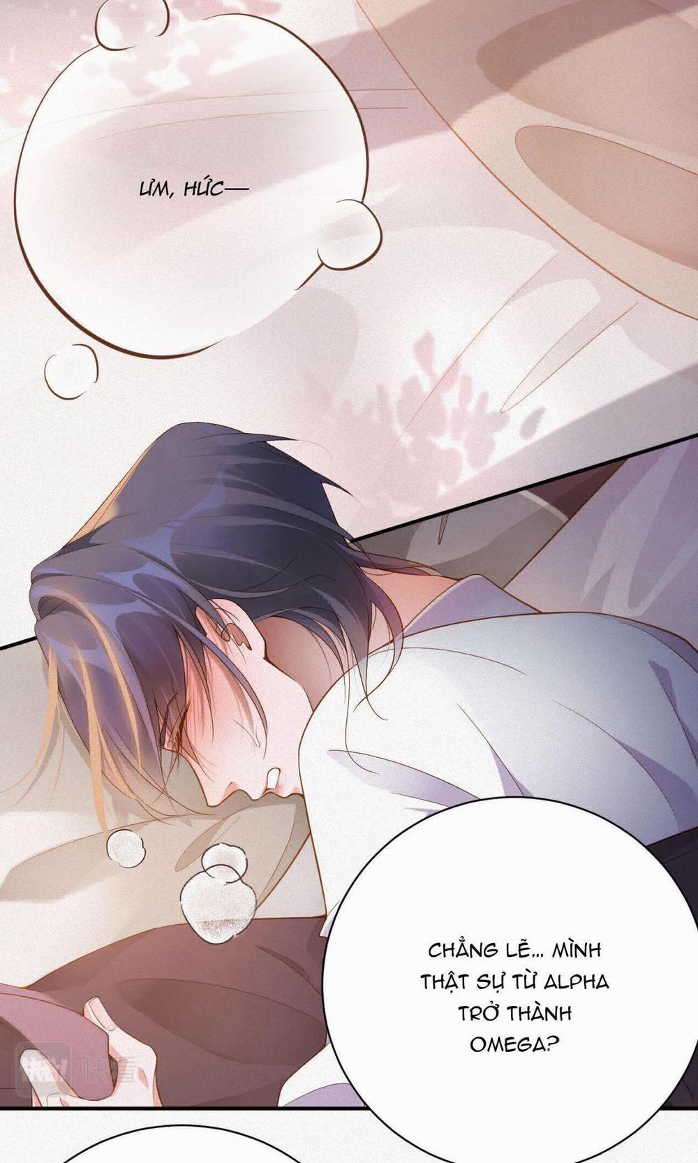 Chồng Cũ Muốn Tái Hôn Lần Nữa 3 trang 28