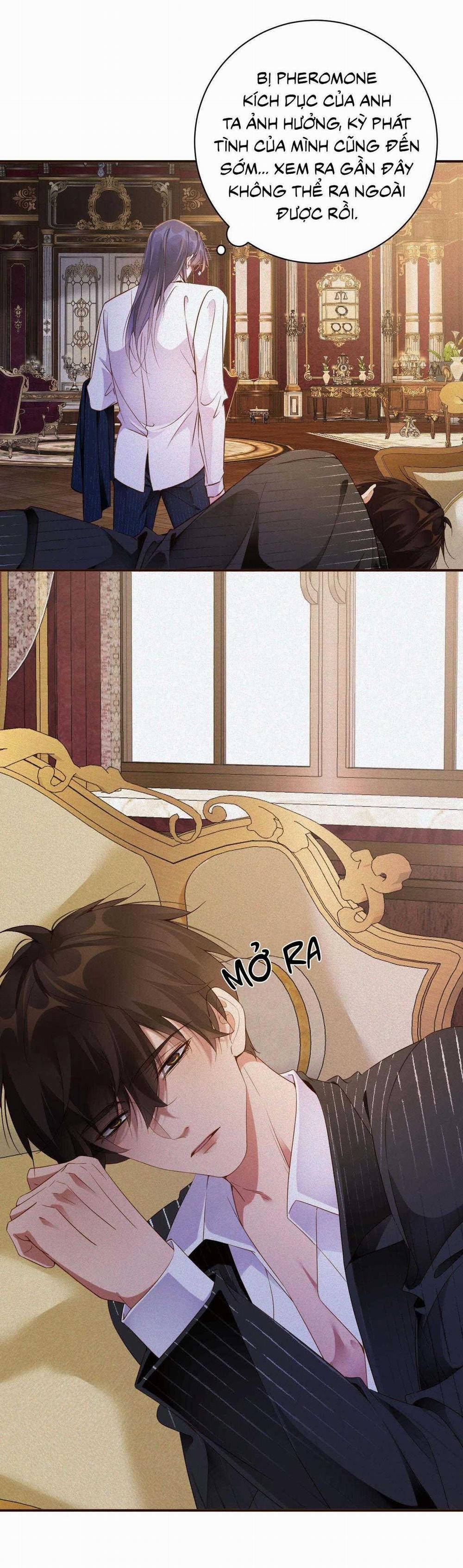 Chồng Cũ Muốn Tái Hôn Lần Nữa 81 trang 11