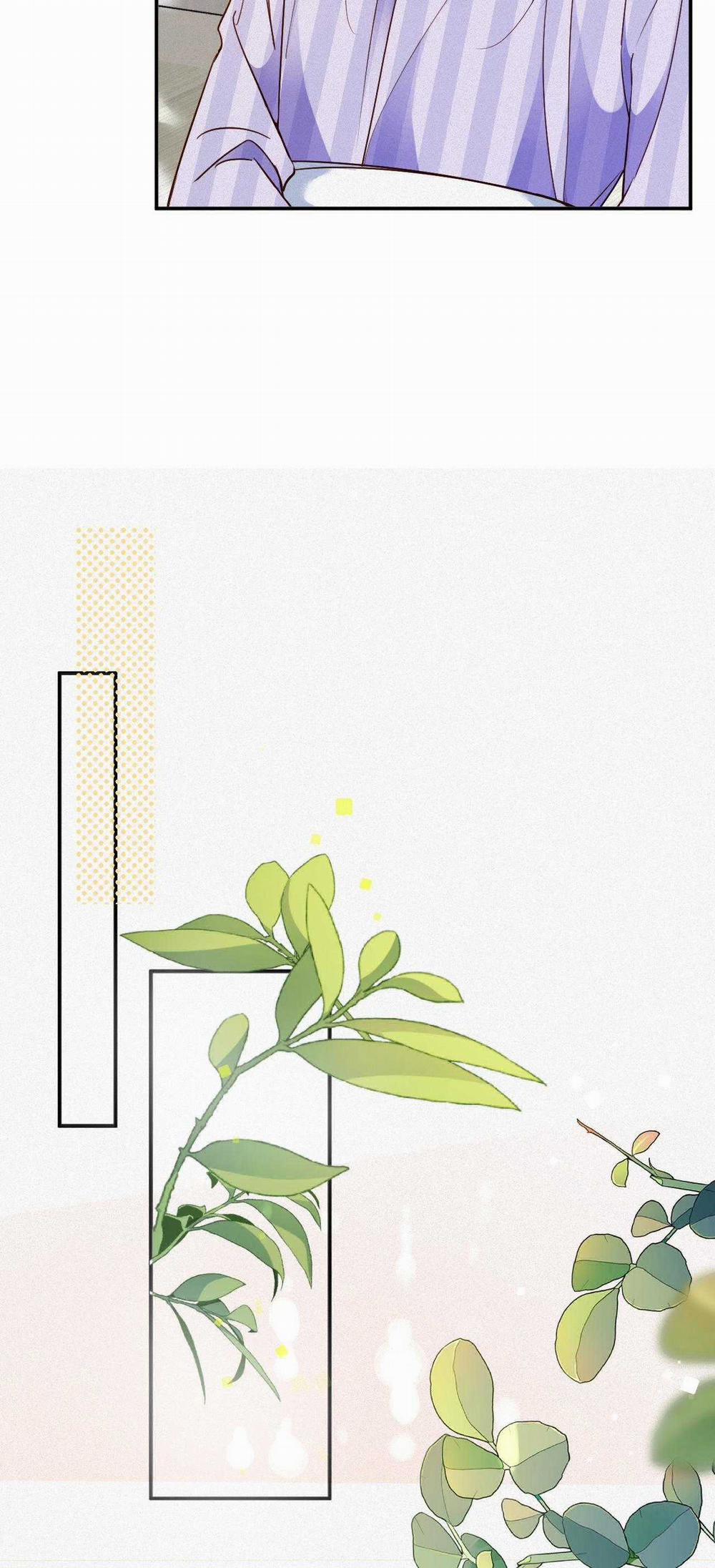 Chồng Cũ Muốn Tái Hôn Lần Nữa 94 trang 14