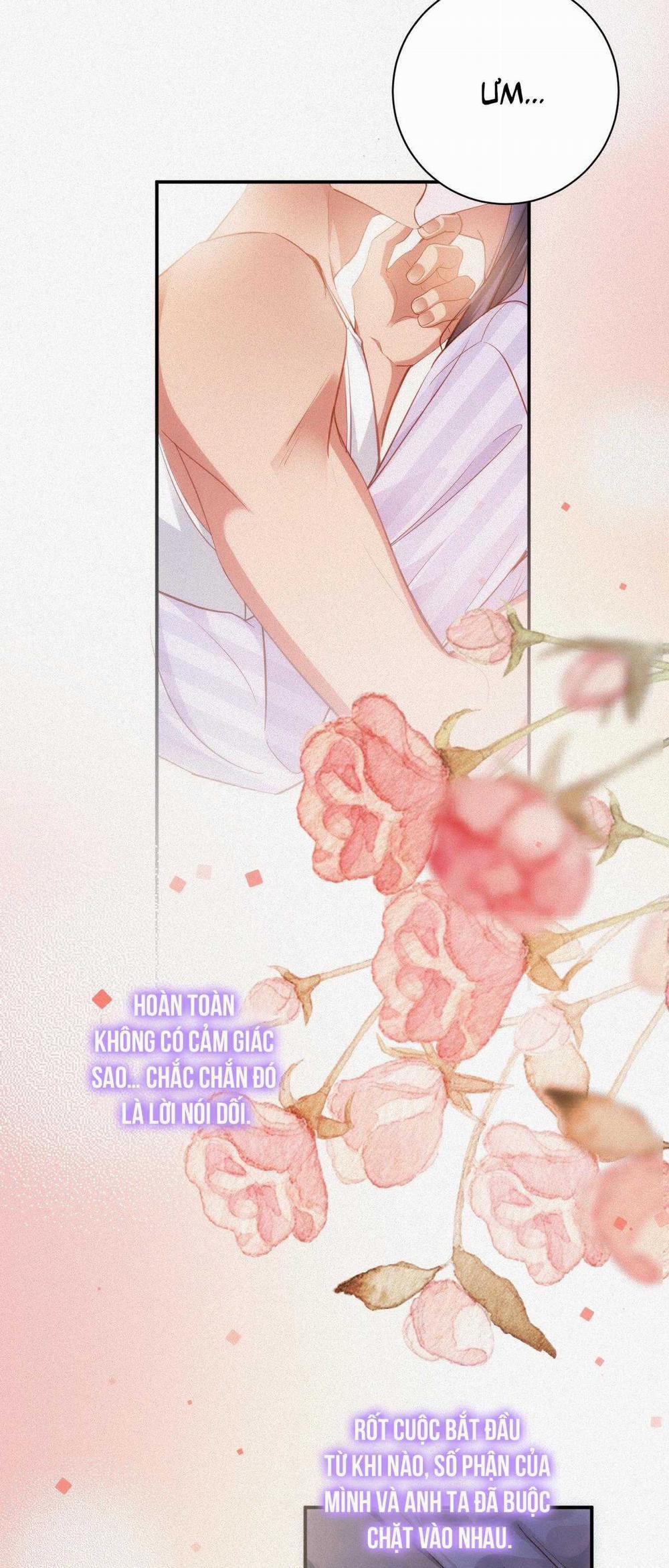 Chồng Cũ Muốn Tái Hôn Lần Nữa 96 trang 32