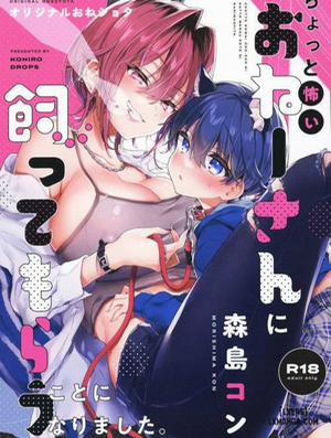 Đọc truyện tranh Chotto Kowai Onee-san ni Katte morau Koto ni Narimashita