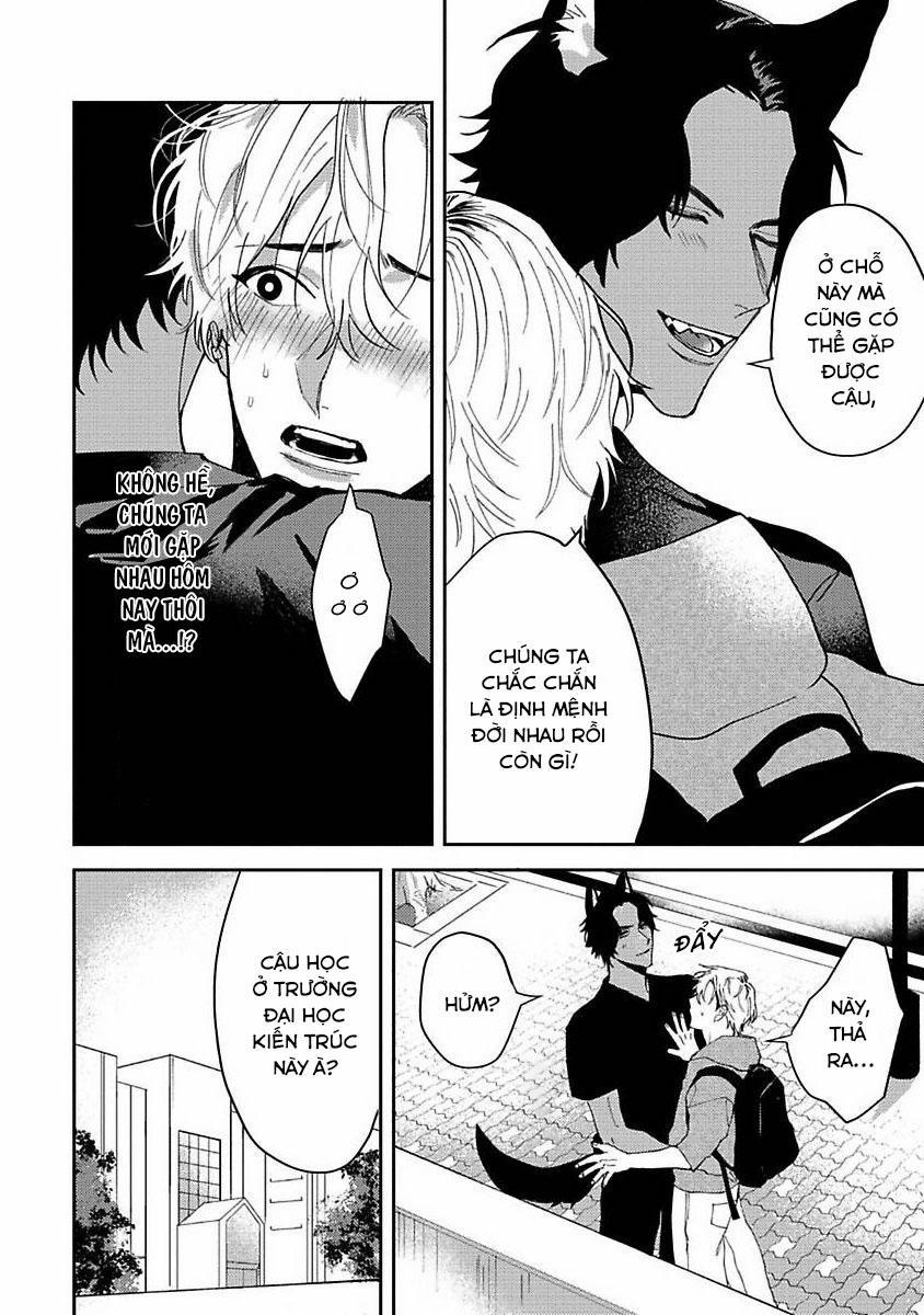 Chú Cá Ngừ Bonito Của Chàng Sói 1 trang 14