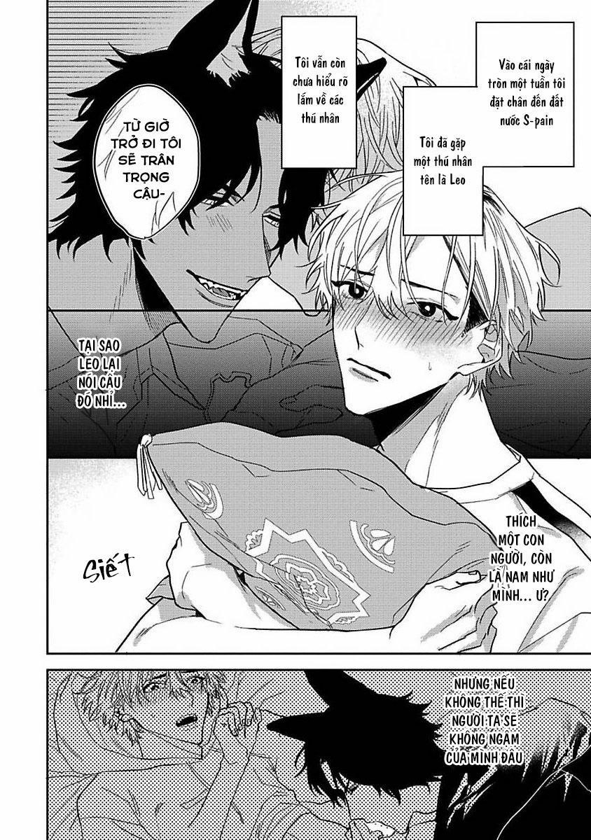 Chú Cá Ngừ Bonito Của Chàng Sói 2 trang 1