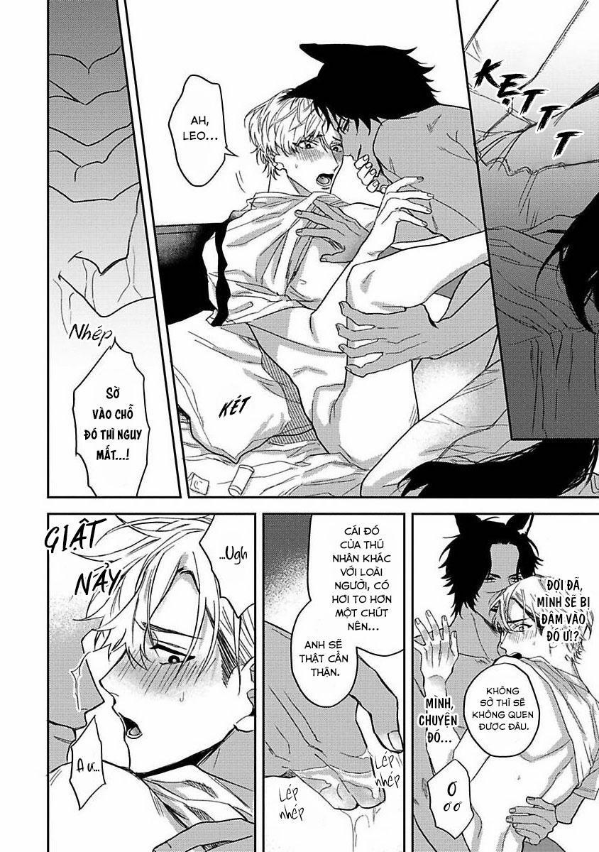 Chú Cá Ngừ Bonito Của Chàng Sói 2 trang 19