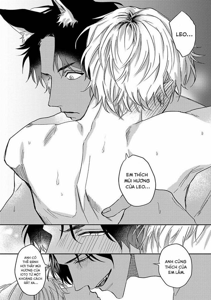 Chú Cá Ngừ Bonito Của Chàng Sói 2 trang 22