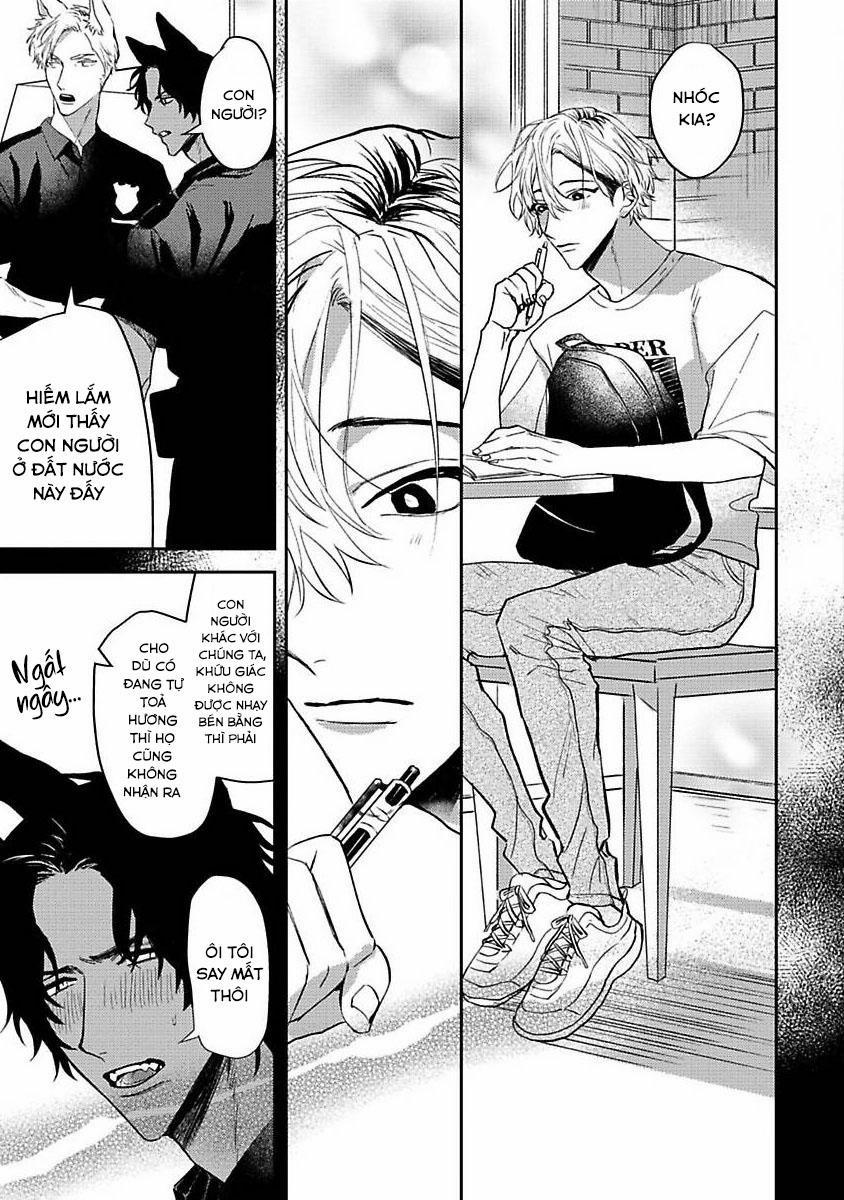 Chú Cá Ngừ Bonito Của Chàng Sói 3 trang 6