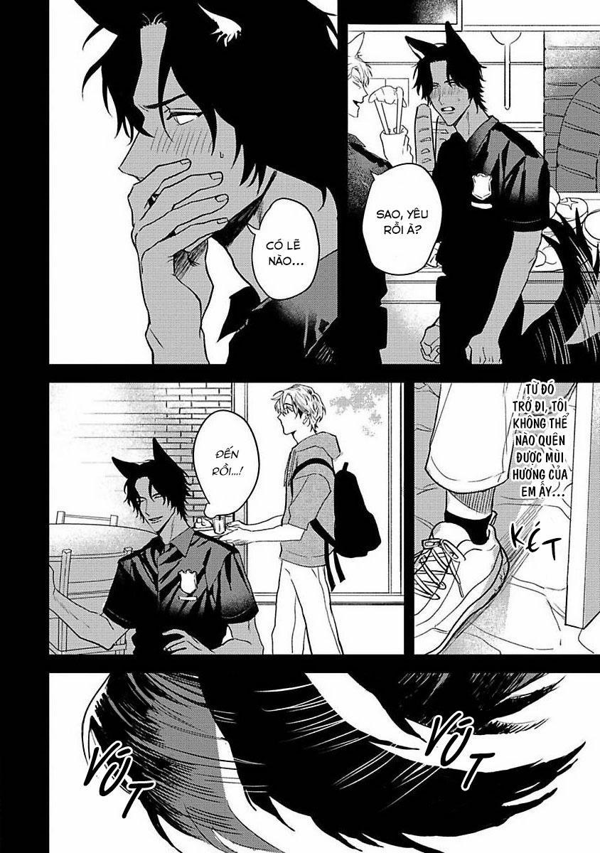 Chú Cá Ngừ Bonito Của Chàng Sói 3 trang 7