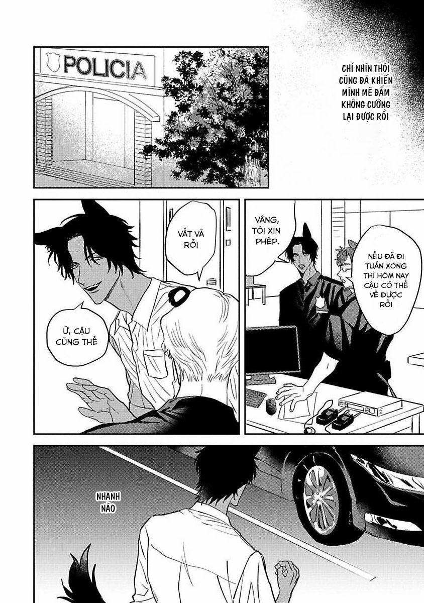 Chú Cá Ngừ Bonito Của Chàng Sói 3 trang 9