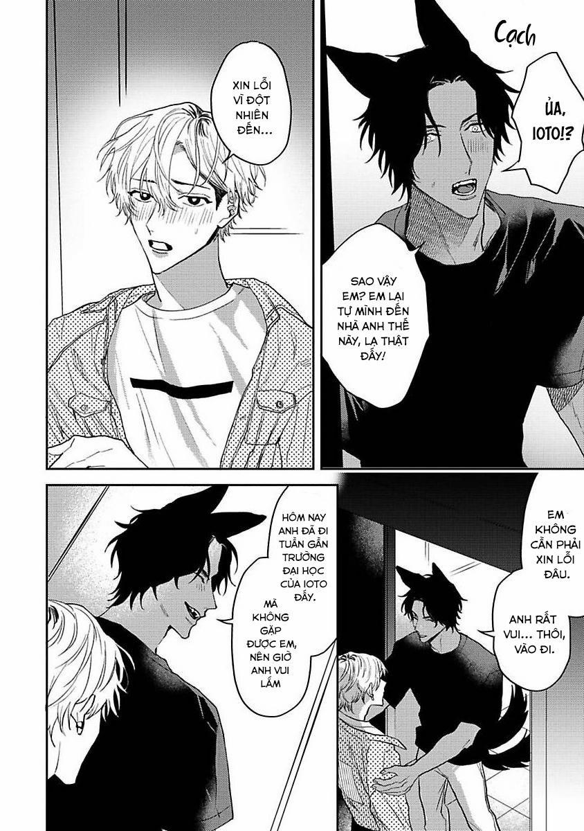 Chú Cá Ngừ Bonito Của Chàng Sói 4 trang 15