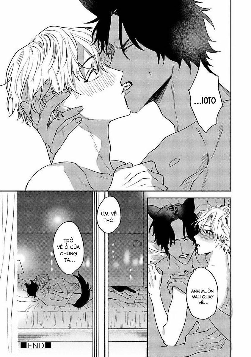 Chú Cá Ngừ Bonito Của Chàng Sói 5.2 trang 12