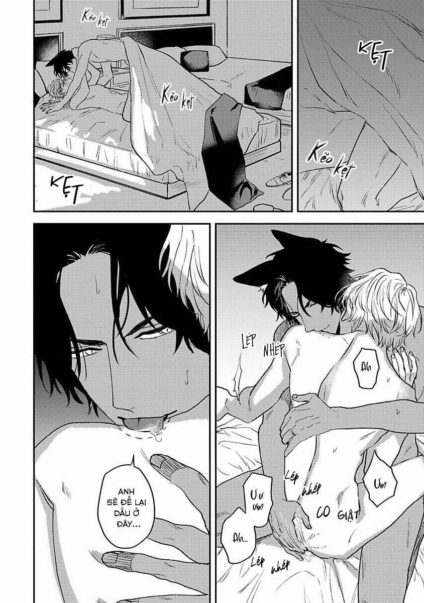 Chú Cá Ngừ Bonito Của Chàng Sói 5.2 trang 5