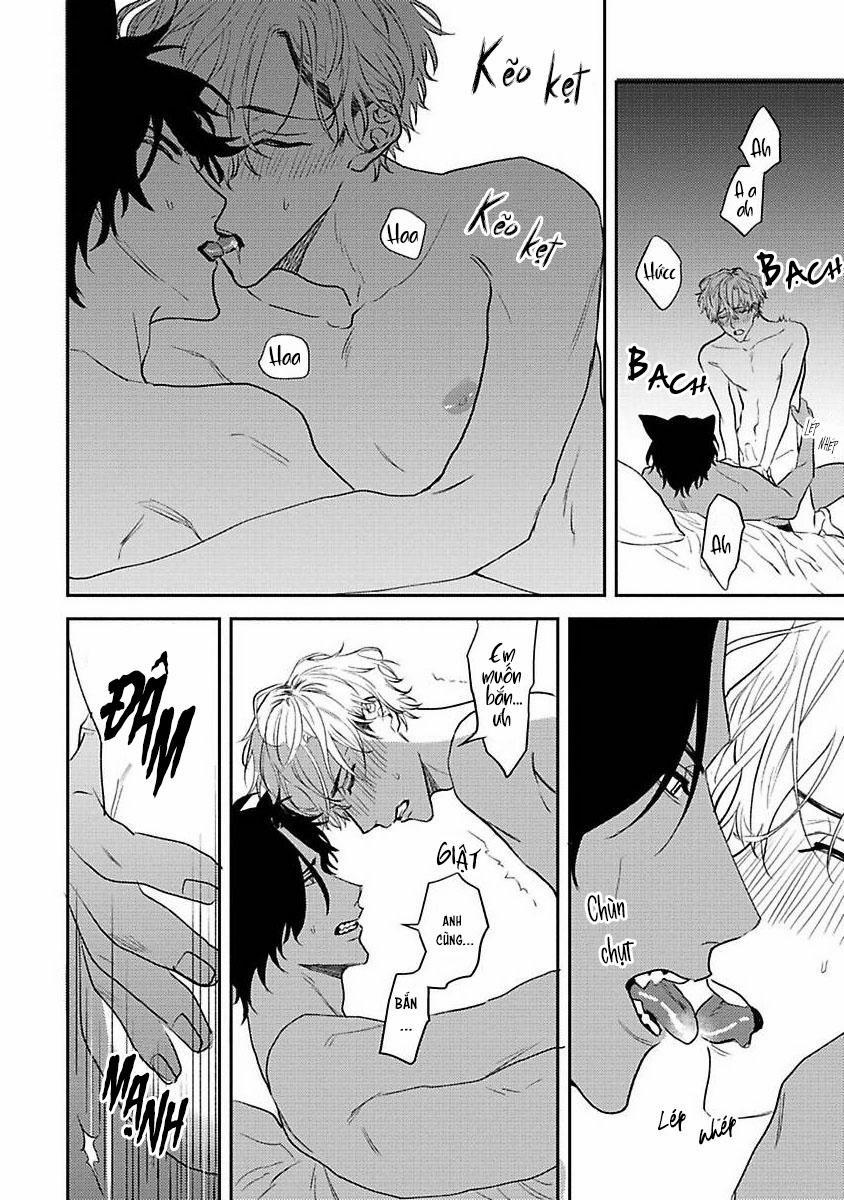 Chú Cá Ngừ Bonito Của Chàng Sói 5.2 trang 9