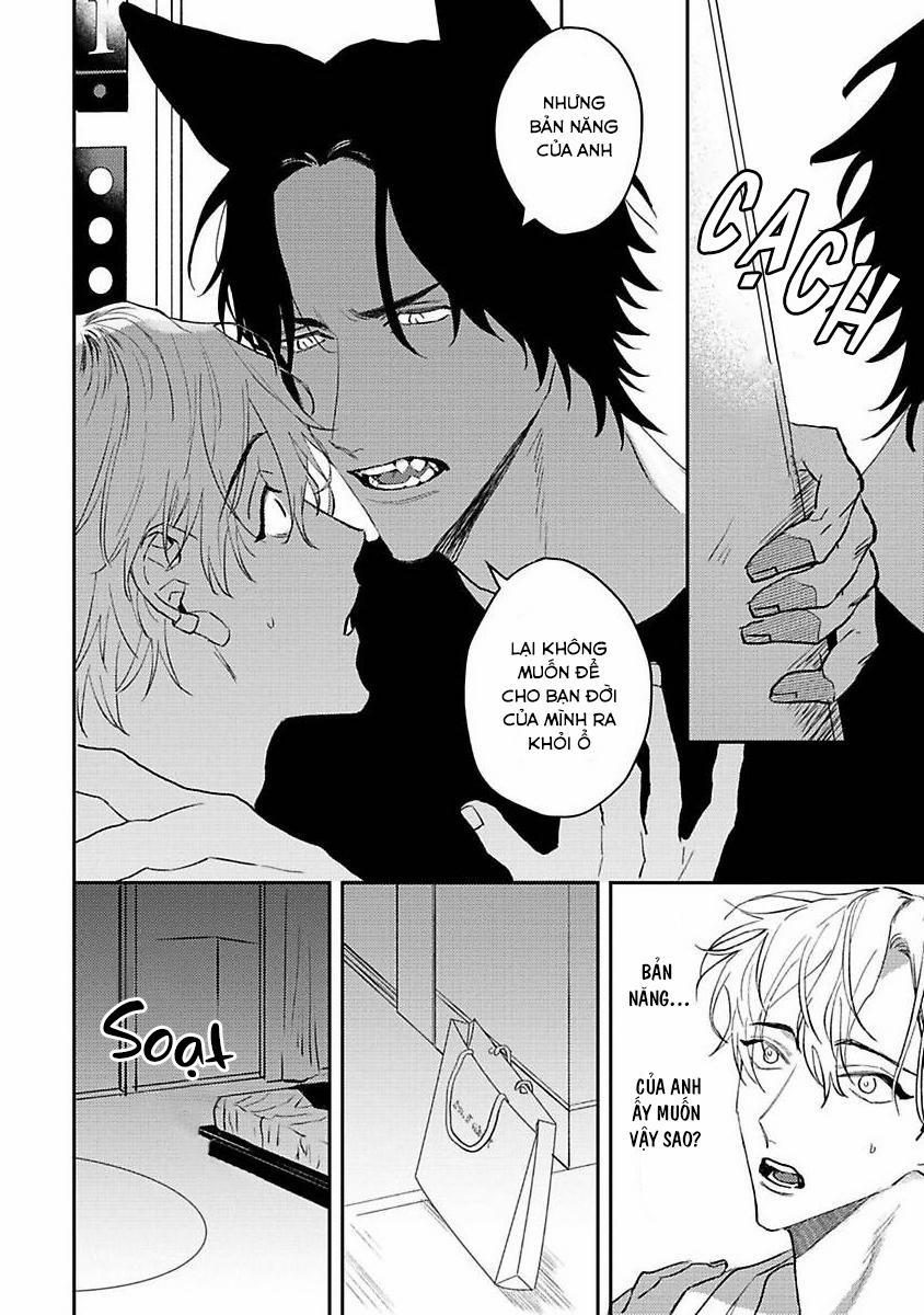 Chú Cá Ngừ Bonito Của Chàng Sói 5 trang 13