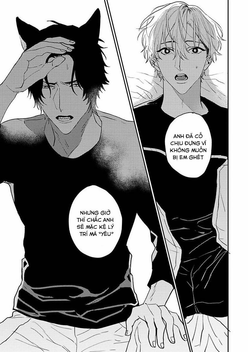 Chú Cá Ngừ Bonito Của Chàng Sói 5 trang 14