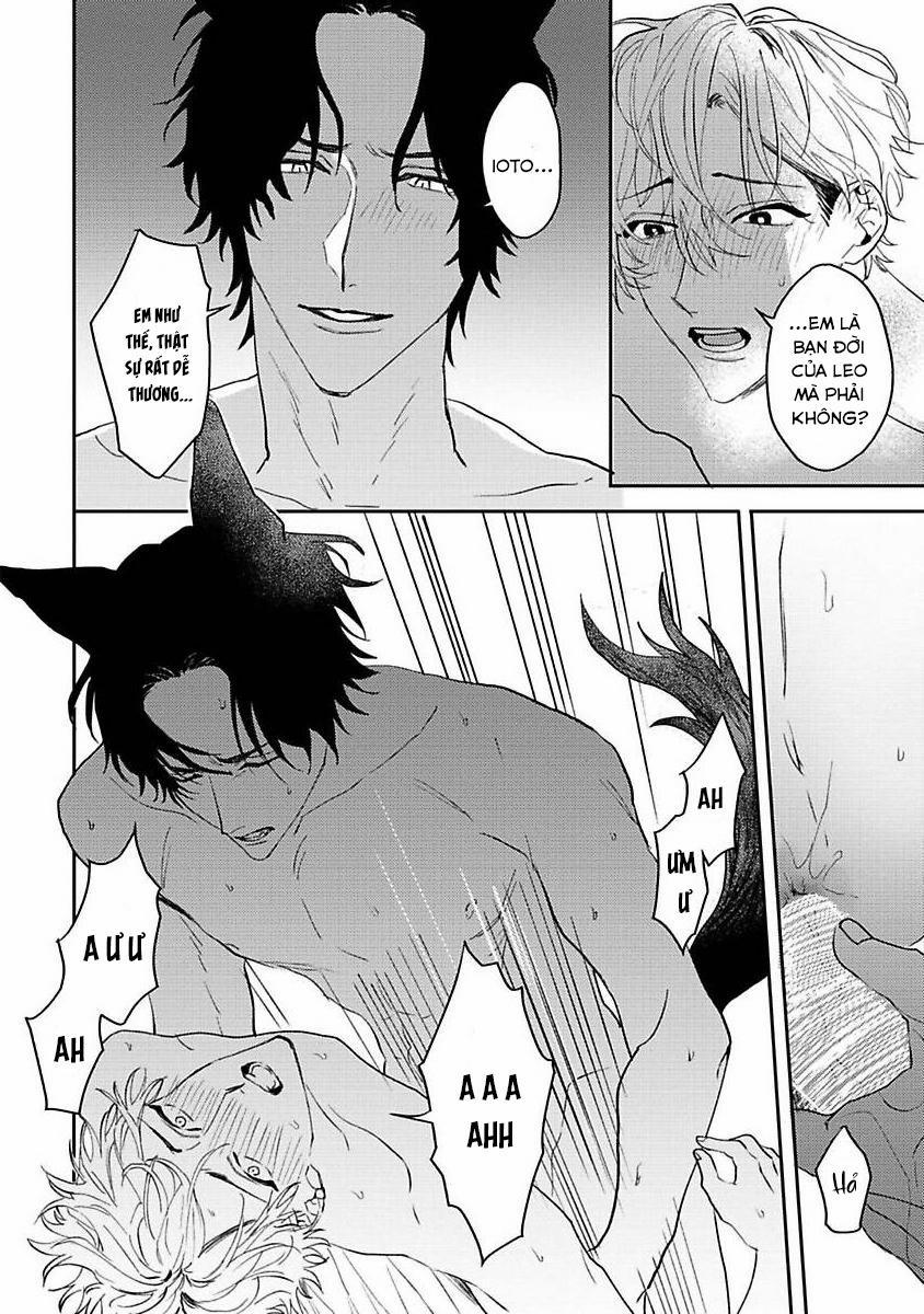 Chú Cá Ngừ Bonito Của Chàng Sói 5 trang 19