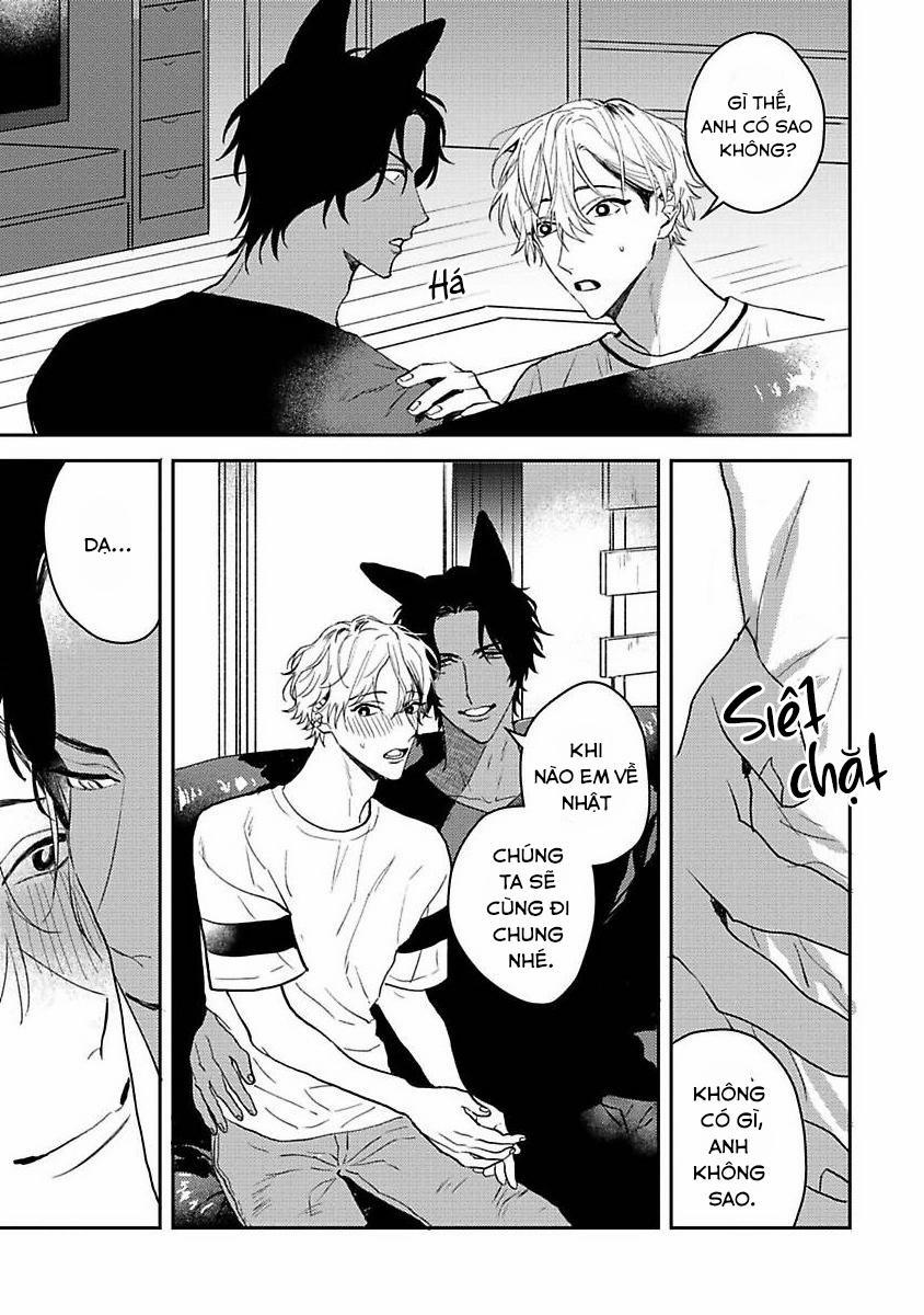 Chú Cá Ngừ Bonito Của Chàng Sói 5 trang 4