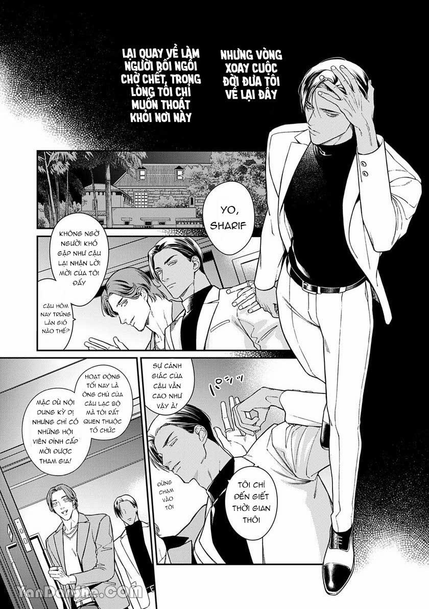 Chú Chim Bình Minh Đầu Hàng Mặt Trăng Quyến Rũ 1.1 trang 8