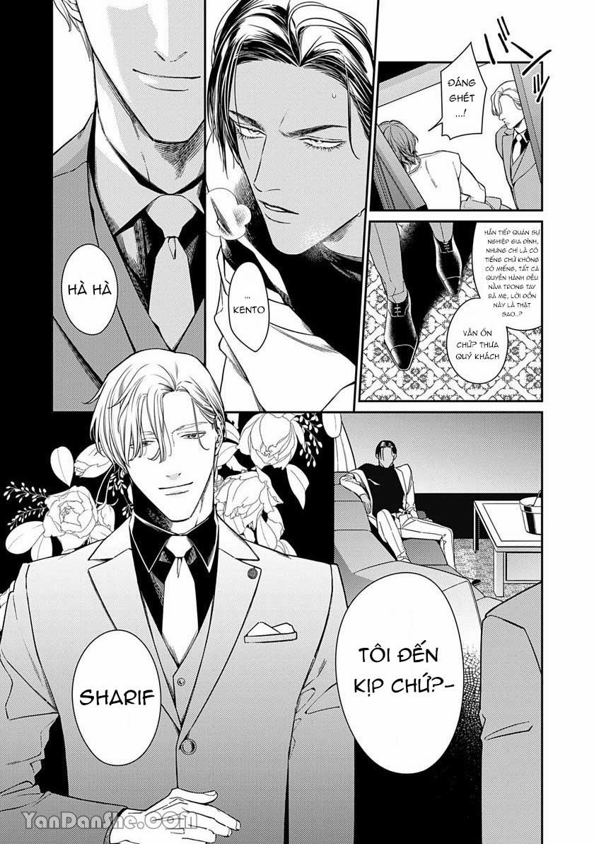 Chú Chim Bình Minh Đầu Hàng Mặt Trăng Quyến Rũ 1.2 trang 0